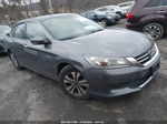 2014 Honda Accord Lx Gray vin: 1HGCR2F34EA009948