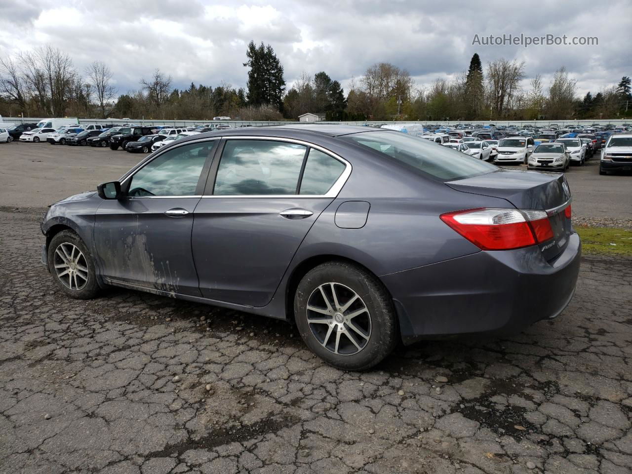 2014 Honda Accord Lx Gray vin: 1HGCR2F34EA015880