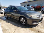 2014 Honda Accord Lx Gray vin: 1HGCR2F34EA073701