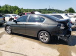 2014 Honda Accord Lx Gray vin: 1HGCR2F34EA073701