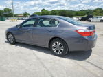 2014 Honda Accord Lx Gray vin: 1HGCR2F34EA081328