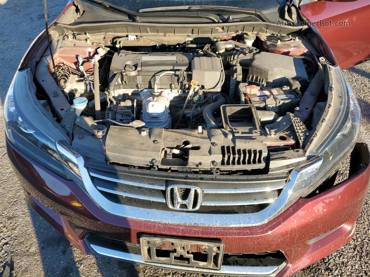 2014 Honda Accord Lx Burgundy vin: 1HGCR2F34EA113629