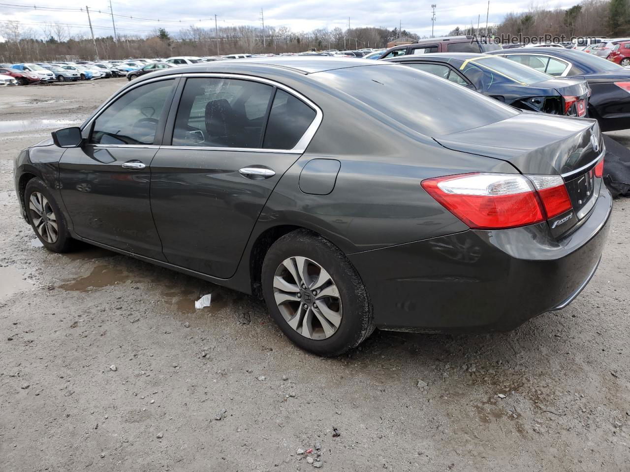 2014 Honda Accord Lx Gray vin: 1HGCR2F34EA297471