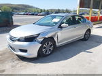 2015 Honda Accord Lx Silver vin: 1HGCR2F34FA005884