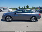 2015 Honda Accord Lx Gray vin: 1HGCR2F34FA043275