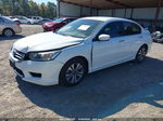 2015 Honda Accord Sedan Lx White vin: 1HGCR2F34FA065258