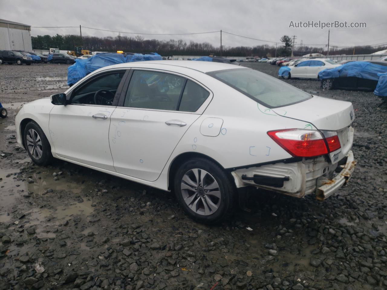 2015 Honda Accord Lx White vin: 1HGCR2F34FA135969