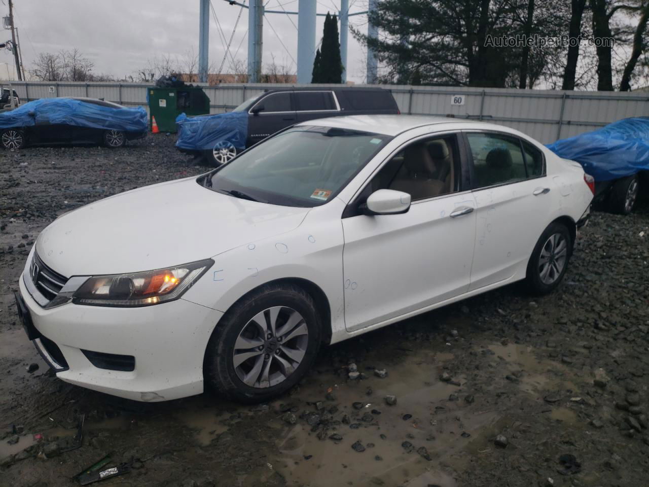 2015 Honda Accord Lx White vin: 1HGCR2F34FA135969