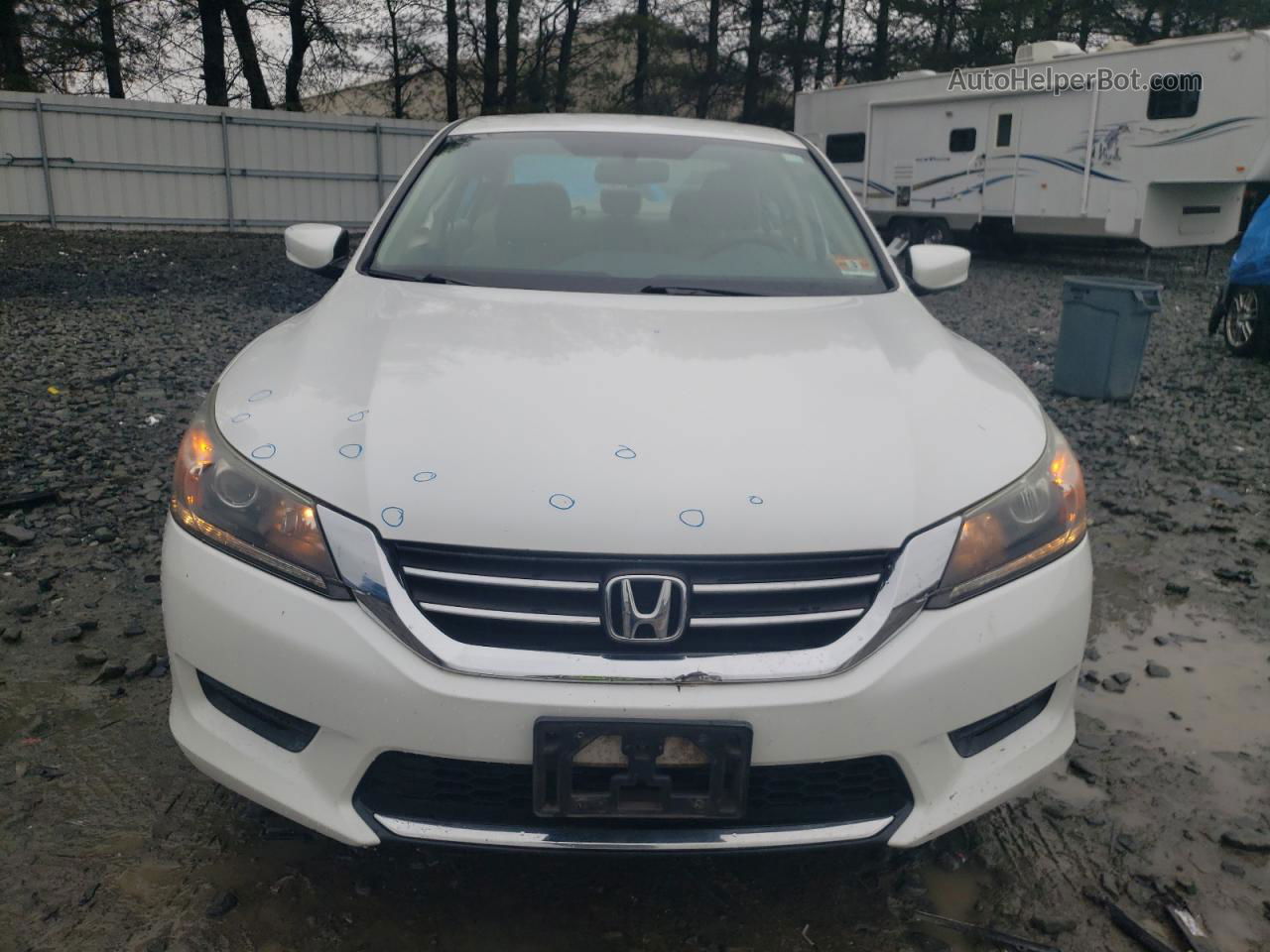 2015 Honda Accord Lx White vin: 1HGCR2F34FA135969