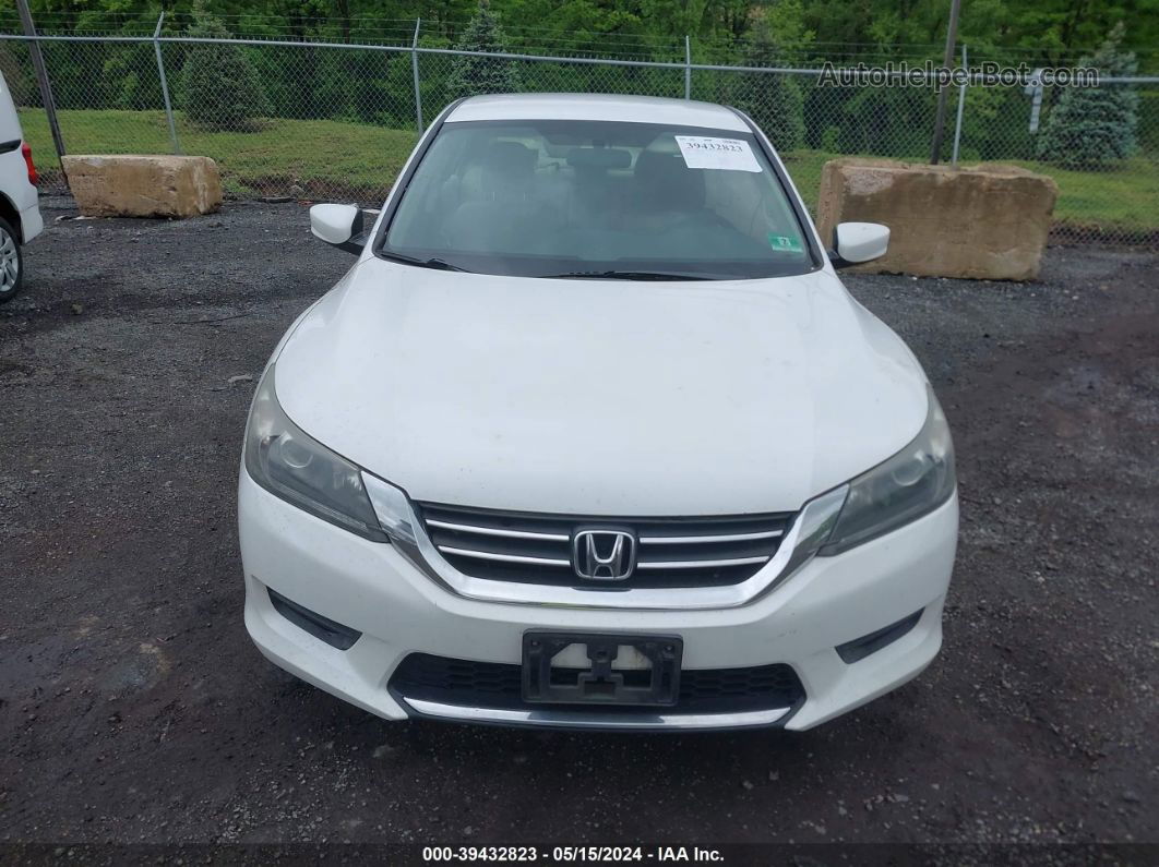 2015 Honda Accord Lx White vin: 1HGCR2F34FA144316