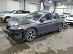 2017 Honda Accord Lx Gray vin: 1HGCR2F34HA122979