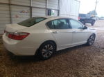 2014 Honda Accord Lx White vin: 1HGCR2F35EA041209