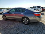 2014 Honda Accord Lx Charcoal vin: 1HGCR2F35EA077806