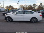 2015 Honda Accord Lx White vin: 1HGCR2F35FA213868