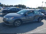 2017 Honda Accord Lx Серый vin: 1HGCR2F35HA058032