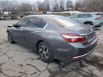 2017 Honda Accord Lx Gray vin: 1HGCR2F35HA167753