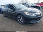 2017 Honda Accord Lx Black vin: 1HGCR2F35HA215266