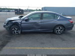 2017 Honda Accord Lx Gray vin: 1HGCR2F35HA245044