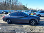 2014 Honda Accord Lx Gray vin: 1HGCR2F36EA012673