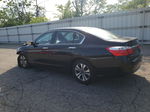 2014 Honda Accord Lx Black vin: 1HGCR2F36EA014410