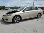 2014 Honda Accord Lx Gold vin: 1HGCR2F36EA086501