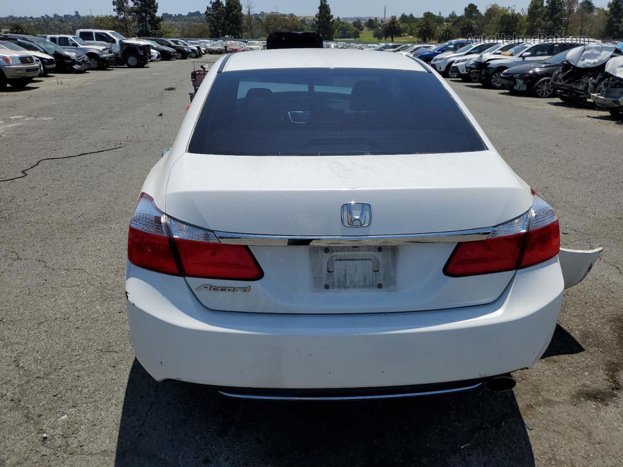 2014 Honda Accord Lx White vin: 1HGCR2F36EA113874