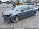 2014 Honda Accord Lx Gray vin: 1HGCR2F36EA154232