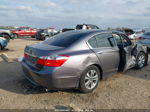 2014 Honda Accord Lx Gray vin: 1HGCR2F36EA227163