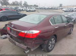 2014 Honda Accord Lx Бордовый vin: 1HGCR2F36EA234145