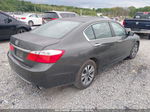 2015 Honda Accord Sedan Lx Серый vin: 1HGCR2F36FA110510