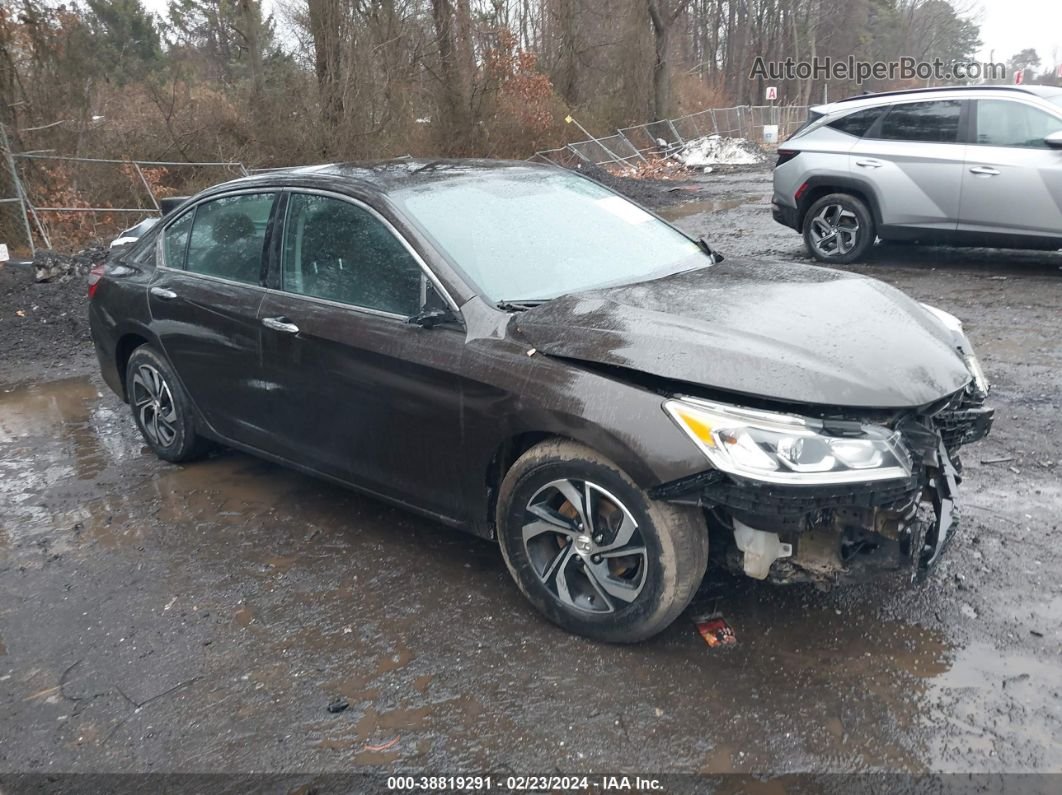 2016 Honda Accord Lx Коричневый vin: 1HGCR2F36GA057812