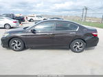 2016 Honda Accord Lx Gray vin: 1HGCR2F36GA120827