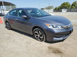 2017 Honda Accord Lx Gray vin: 1HGCR2F36HA184027