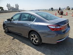 2017 Honda Accord Lx Серый vin: 1HGCR2F36HA184027