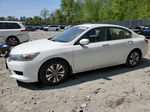 2015 Honda Accord Lx White vin: 1HGCR2F37FA026096