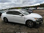 2017 Honda Accord Lx Белый vin: 1HGCR2F37HA146743