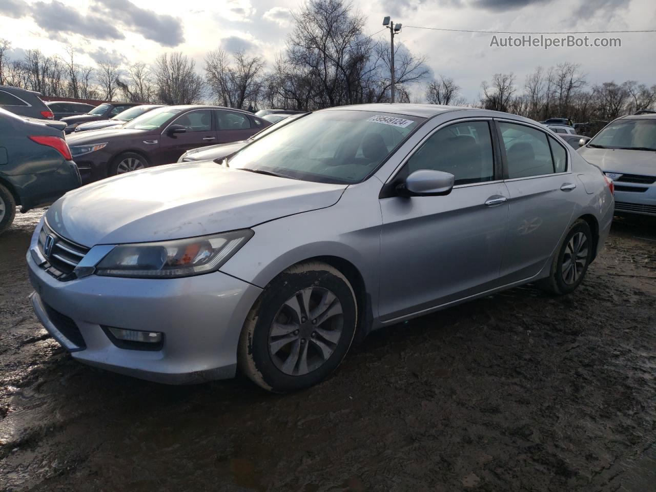 2014 Honda Accord Lx Silver vin: 1HGCR2F38EA206556