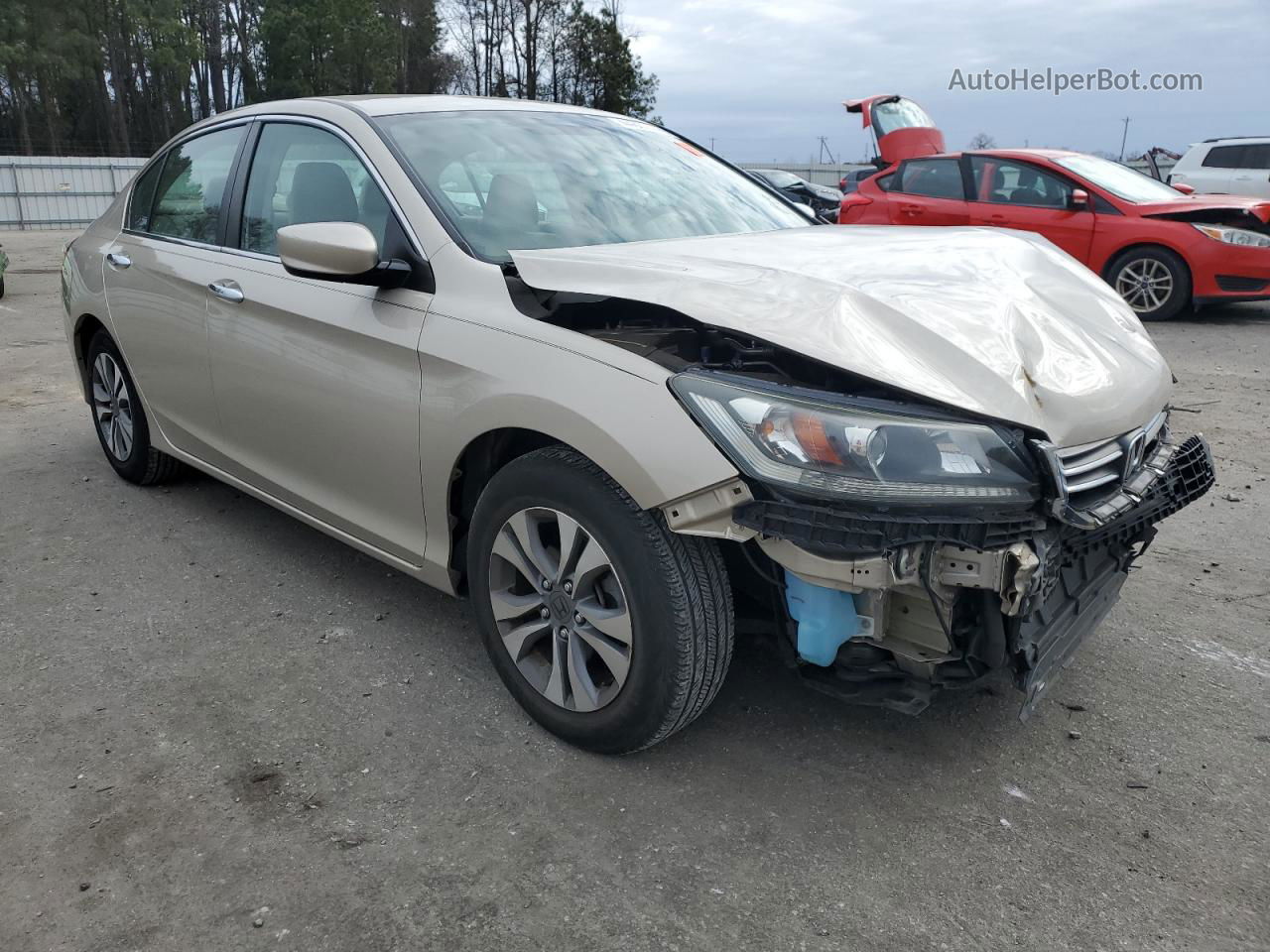 2014 Honda Accord Lx Gold vin: 1HGCR2F38EA256146