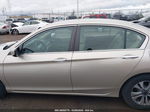 2014 Honda Accord Lx Золотой vin: 1HGCR2F38EA277725