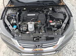 2015 Honda Accord Lx Серый vin: 1HGCR2F38FA075243