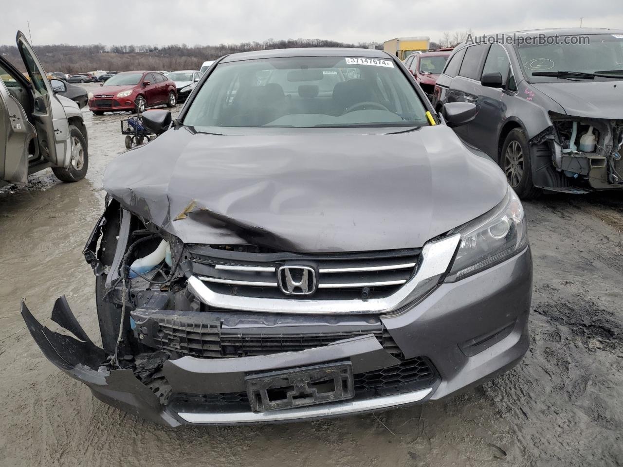 2014 Honda Accord Lx Серый vin: 1HGCR2F39EA284957