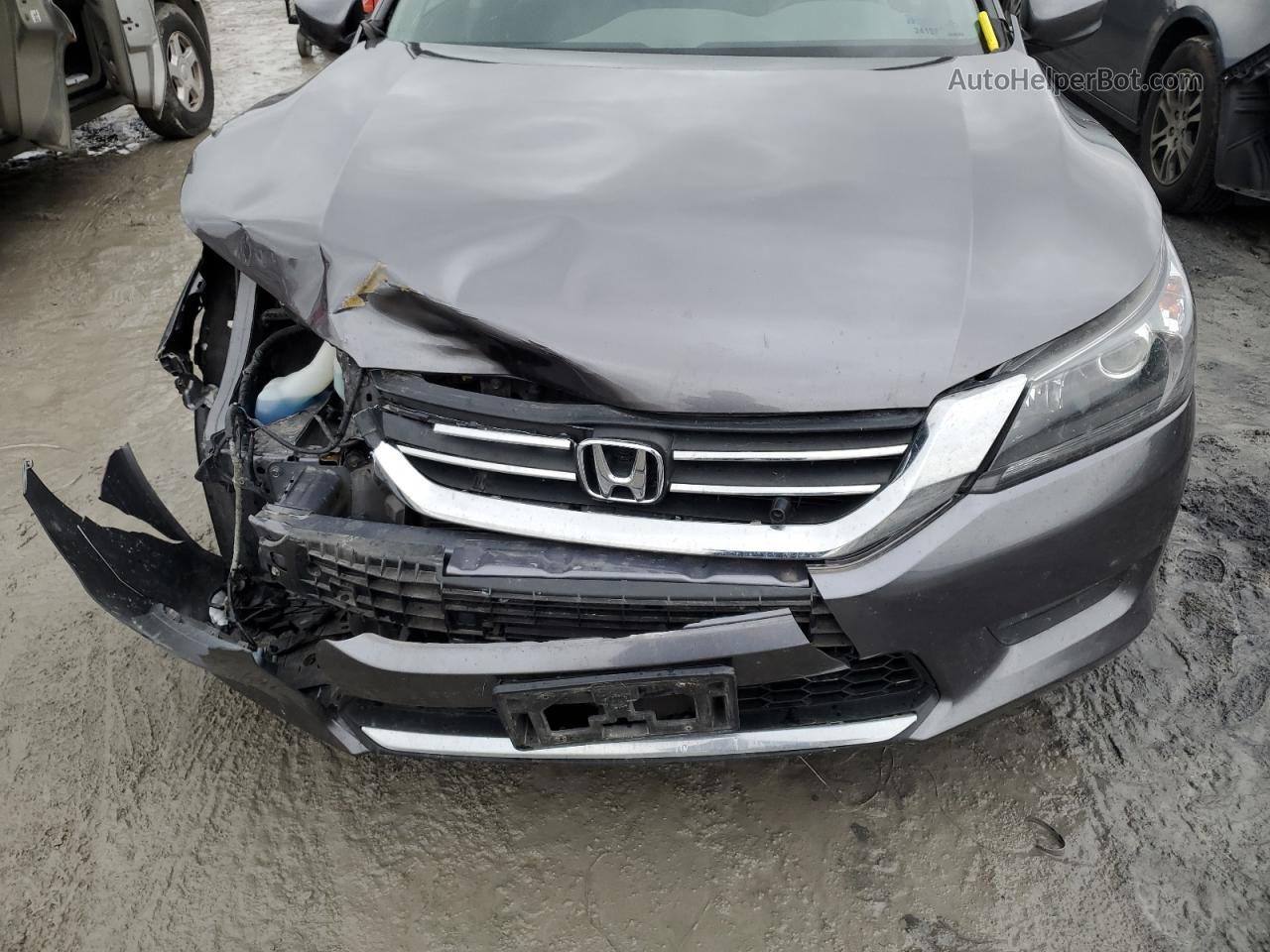 2014 Honda Accord Lx Gray vin: 1HGCR2F39EA284957