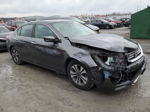 2014 Honda Accord Lx Серый vin: 1HGCR2F39EA284957