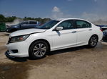 2015 Honda Accord Lx White vin: 1HGCR2F39FA173908