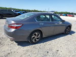 2016 Honda Accord Lx Серый vin: 1HGCR2F39GA213261