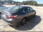 2017 Honda Accord Lx Серый vin: 1HGCR2F39HA162135