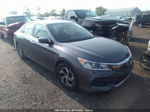 2017 Honda Accord Lx Серый vin: 1HGCR2F39HA197080