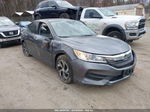 2017 Honda Accord Lx Gray vin: 1HGCR2F39HA276085