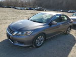 2014 Honda Accord Lx Gray vin: 1HGCR2F3XEA038287