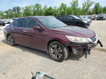 2014 Honda Accord Lx Бордовый vin: 1HGCR2F3XEA039441